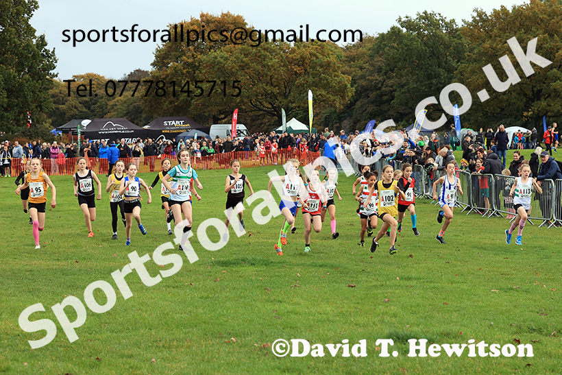 Girls under-11s, 2024 Northern Cross Country Relays, Graves Park, Sheffield.   Photo: David T. Hewitson/Sports for All Pics